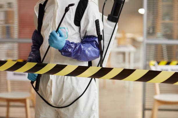 Professional Sewage Cleanup technician working in Windsor, IL